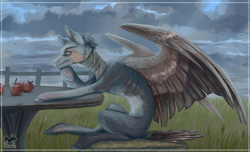 Size: 1280x776 | Tagged: safe, artist:afialtis, oc, oc only, pegasus, pony, apple, bandage, emaciated, food, male, sitting, skinny, spread wings, stallion, table, thin, wings