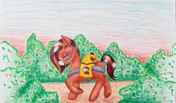 Size: 2096x1234 | Tagged: safe, artist:mintytreble, earth pony, hybrid, mule, pony, coffee, colombia, outdoors, reins, solo, traditional art