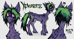 Size: 2500x1329 | Tagged: safe, artist:z0mbiebite, oc, oc only, oc:xenobiotic, earth pony, pony, fluffy, freckles, gray background, heterochromia, male, messy mane, reference sheet, simple background, solo, stallion, sternocleidomastoid