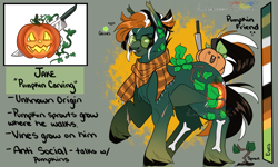 Size: 2000x1200 | Tagged: safe, artist:legendaryshadee, oc, oc:jake, earth pony, pony, clothes, glasses, male, reference sheet, scarf, solo, stallion