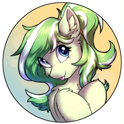 Size: 1500x1500 | Tagged: safe, artist:ravistdash, oc, oc only, oc:amagi, earth pony, chest fluff, circle background, ear fluff, earth pony oc, female, looking at you, mare, passepartout, solo, tongue out