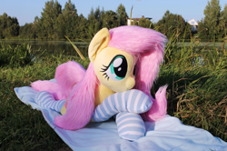 Size: 1915x1273 | Tagged: safe, artist:nakedskull, fluttershy, pegasus, pony, g4, clothes, fluttershy plushie, forelegs crossed, irl, lying down, nature, outdoors, photo, plushie, prone, socks, solo, striped socks, water