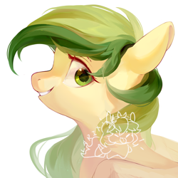 Size: 2000x2000 | Tagged: safe, artist:larix-u, oc, oc only, pegasus, pony, bust, female, mare, simple background, solo, white background