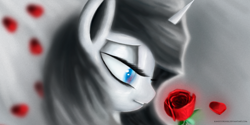 Size: 3000x1500 | Tagged: safe, artist:kanistorshik, oc, oc only, pony, unicorn, female, flower, horn, mare, rose, solo