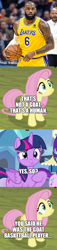 Size: 500x2178 | Tagged: safe, edit, edited screencap, screencap, fluttershy, twilight sparkle, alicorn, human, pegasus, pony, g4, basketball, comic, female, irl, irl human, lebron james, male, mare, photo, screencap comic, sports, twilight sparkle (alicorn)