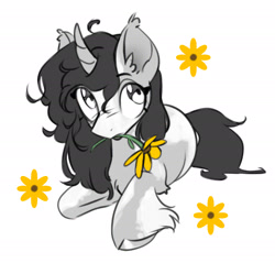 Size: 2100x2007 | Tagged: safe, artist:opalacorn, oc, oc only, oc:fume hood, pony, unicorn, ear fluff, female, fetlock tuft, grayscale, horn, looking up, lying down, mare, monochrome, mouth hold, partial color, prone, simple background, solo, unshorn fetlocks, white background