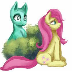 Size: 4000x4000 | Tagged: safe, artist:buttercupsaiyan, fluttershy, g4, bush, digital art, doodle, duo, practice, simple background, white background