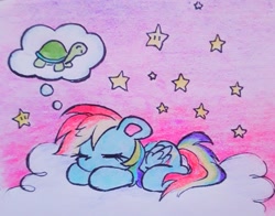 Size: 2047x1608 | Tagged: safe, artist:flutterberrypie, rainbow dash, tank, pegasus, pony, g4, cloud, colored pinnae, cute, dashabetes, dream, dream bubble, eyes closed, female, folded wings, lying down, lying on a cloud, mare, on a cloud, pink sky, prone, sleeping, sleeping on a cloud, sleepydash, solo, stars, tail, tankabetes, thought bubble, wings