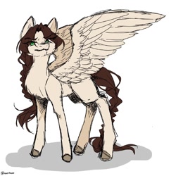 Size: 800x800 | Tagged: safe, artist:illustra, oc, oc only, pegasus, pony, braid, braided ponytail, braided tail, eye clipping through hair, eyebrows, eyebrows visible through hair, female, female oc, full body, green eyes, large wings, looking at you, mare, mare oc, pegasus oc, ponytail, simple background, sketch, solo, spread wings, standing, tail, unshorn fetlocks, white background, wings