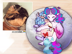 Size: 2000x1500 | Tagged: safe, artist:amendokat, cozy glow, princess flurry heart, cat, g4, behaving like a cat, cozybetes, cute, duo, duo female, female, flurrybetes, hug, lesbian, ponified animal photo, ship:cozyheart, shipping