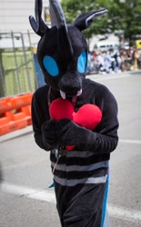 Size: 989x1600 | Tagged: safe, artist:blue_wolf_studios, oc, oc:rad, changeling, 2019, anthrocon, changeling oc, clothes, cosplay, costume, fursuit, heart, irl, outdoors, photo, solo