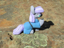 Size: 1960x1470 | Tagged: safe, alternate version, artist:malte279, part of a set, boulder (g4), maud pie, earth pony, pony, g4, concrete, craft, female, irl, mare, outdoors, photo, sculpture, solo, ytong