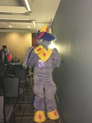 Size: 1200x1600 | Tagged: safe, artist:spainfischer, twilight sparkle, alicorn, human, g4, 2019, fursuit, indoors, irl, irl human, jewelry, midwest furfest, photo, ponysuit, regalia, solo focus, twilight sparkle (alicorn)