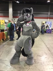 Size: 1200x1600 | Tagged: safe, octavia melody, human, g4, 2019, armor, bikini, chainmail bikini, clothes, collar, fursuit, hoof on chin, indoors, irl, irl human, midwest furfest, photo, ponysuit, pose, solo focus, unconvincing armor