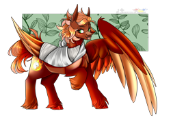 Size: 1968x1356 | Tagged: safe, artist:legendaryshadee, oc, oc only, oc:golden flare, pegasus, pony, bandage, bandaged wing, colored wings, male, simple background, solo, stallion, tongue out, transparent background, two toned wings, unshorn fetlocks, wings