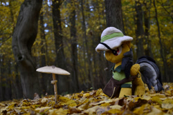 Size: 1095x730 | Tagged: safe, artist:mgrdash, daring do, pegasus, pony, g4, autumn, forest, irl, leaves, mushroom, nature, outdoors, photo, plushie, ponies in real life, solo, tree