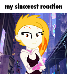 Size: 640x700 | Tagged: safe, artist:robertsonskywa1, flare (g5), human, equestria girls, g4, g5, clothes, crossed arms, equestria girls-ified, female, g5 to equestria girls, g5 to g4, generation leap, looking at you, marvel, meme, photo, reaction image, solo, spider-gwen, spider-man, spider-man: across the spider-verse, suit