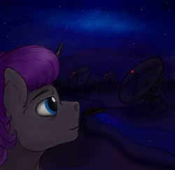 Size: 2560x2475 | Tagged: safe, artist:coffee_caramel, oc, oc:farman royce, unicorn, blue eyes, colored, dark sky, gray skin, horn, male, mountain, night, outdoors, purple mane, radio telescope, river, sky, solo, stallion, star sky, stars, voice of the void, water