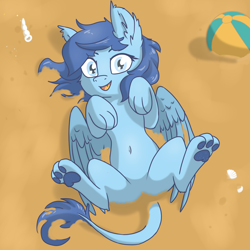 Size: 5120x5120 | Tagged: safe, artist:pzkratzer, oc, oc:night cloud, sphinx, beach, beach ball, belly, belly button, feathered wings, featureless crotch, female, folded wings, lying down, messy, on back, partially open wings, paws, sand, shell, solo, sphinx oc, underpaw, wings