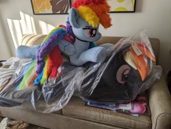 Size: 4032x3024 | Tagged: safe, artist:azgchip, artist:lanacraft, photographer:anonymous, rainbow dash, twilight sparkle, oc, oc:dark rainbow dash, pegasus, pony, g4, bag, couch, female, framed picture, high res, indoors, irl, life size, lying down, mare, on couch, pegasus oc, photo, plastic bag, plushie, pony plushie, prone, rainbow dash plushie, stack