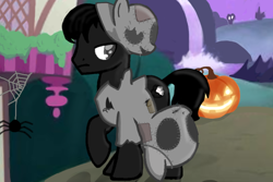 Size: 750x500 | Tagged: safe, oc, oc only, oc:black rock cotton core, earth pony, pony, spider, mlp fim's fourteenth anniversary, g4, clothes, costume, halloween, holiday, jack-o-lantern, nightmare night, nightmare night costume, outdoors, photo, pumpkin, solo, spider web