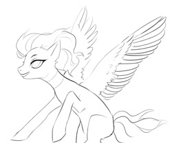 Size: 1028x860 | Tagged: safe, artist:saturn cat, oc, oc only, pegasus, pony, 2019, black and white, digital art, grayscale, monochrome, pegasus oc, simple background, sketch, solo, spread wings, white background, wings