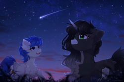 Size: 3000x2000 | Tagged: safe, artist:floweryoutoday, oc, oc:obsidian limelight, oc:starlit beacon, crystal pony, pegasus, unicorn, field, horn, night, outdoors, shooting star, stars, wings