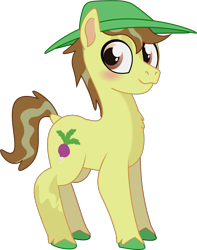 Size: 888x1128 | Tagged: safe, artist:prixy05, hayseed turnip truck, earth pony, pony, series:magic forest, g4, hat, male, simple background, solo, stallion, transparent background, vector