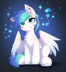 Size: 3899x4246 | Tagged: safe, artist:empress-twilight, oc, oc only, oc:waterspout, pegasus, pony, blushing, cheek fluff, chest fluff, commission, ear fluff, ear piercing, earring, eye clipping through hair, eyebrows, eyebrows visible through hair, jewelry, looking at you, male, partially open wings, pegasus oc, piercing, sitting, smiling, smiling at you, solo, sparkles, stallion, tail, unshorn fetlocks, wings, ych result