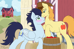 Size: 1440x960 | Tagged: safe, artist:virgil green, braeburn, soarin', earth pony, pegasus, pony, g4, apple, barn, blushing, cloud, cloudy, duo, duo male, farm, food, gay, hat, male, ship:soarburn, shipping, stallion