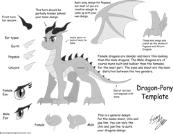 Size: 1018x785 | Tagged: safe, artist:blood-asp0123, dracony, dragon, hybrid, base, blank pony, grayscale, monochrome, simple background, slit pupils, transparent background