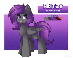 Size: 2800x2240 | Tagged: safe, alternate version, artist:madelinne, oc, oc only, oc:fritzy, pegasus, female, gradient background, mare, passepartout, purple eyes, purple hair, reference sheet, solo