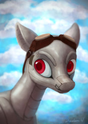 Size: 2059x2912 | Tagged: safe, artist:drawirm, oc, oc only, oc:dorn, original species, plane pony, pony, aviator goggles, bust, commission, do 217 n2, goggles, goggles on head, male, outdoors, plane, portrait, red eyes, solo, stallion