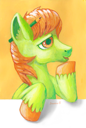 Size: 2011x2982 | Tagged: safe, artist:drawirm, oc, oc only, earth pony, pony, male, pencil, pencil behind ear, solo, stallion, traditional art, unshorn fetlocks