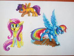 Size: 2828x2121 | Tagged: safe, artist:drawirm, fluttershy, rainbow dash, scootaloo, pegasus, pony, g4, female, filly, foal, mare, simple background, spread wings, traditional art, trio, white background, wings