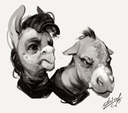 Size: 860x763 | Tagged: safe, artist:assasinmonkey, cranky doodle donkey, matilda, donkey, g4, black and white, bust, duo, female, grayscale, male, monochrome, portrait, simple background, white background