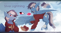 Size: 2700x1500 | Tagged: safe, artist:sinrinf, oc, oc:silver lightning, pegasus, clothes, cloud, commission, commissioner:recless, hoodie, outdoors, reference sheet, solo, ych result