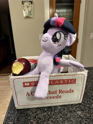 Size: 4284x5712 | Tagged: safe, twilight sparkle, alicorn, pony, g4, apple, box, food, indoors, irl, photo, plushie, pony in a box, solo, twilight sparkle (alicorn)