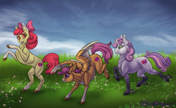 Size: 1843x1125 | Tagged: safe, artist:rossthren, apple bloom, scootaloo, sweetie belle, earth pony, pegasus, pony, unicorn, g4, apple bloom's bow, bow, brown pupils, coat markings, collarbone, colored eartips, colored hooves, colored pupils, colored wings, colored wingtips, concave belly, curved horn, cute, cutie mark crusaders, ear tufts, facial markings, female, fetlock tuft, filly, fit, foal, gradient legs, grass, green pupils, hair bow, hooves, horn, long fetlocks, mealy mouth (coat marking), outdoors, overcast, pale belly, prancing, purple pupils, raised hoof, realistic horse legs, rearing, ribcage, running, signature, slender, socks (coat markings), spread wings, thin, trio, trio female, unshorn fetlocks, wings