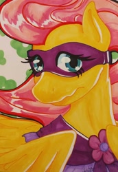 Size: 2253x3278 | Tagged: safe, artist:fleiiha, fluttershy, saddle rager, pegasus, pony, g4, element of kindness, elements of harmony, marker drawing, original art, original style, power ponies, solo, traditional art