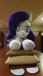 Size: 2268x4032 | Tagged: safe, artist:ponimalion, oc, oc:morning glory (project horizons), pegasus, pony, fallout equestria, fallout equestria: project horizons, fanfic art, female, indoors, irl, mare, photo, plushie, solo