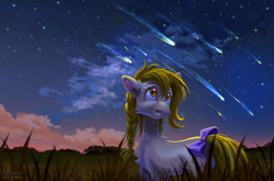 Size: 3708x2448 | Tagged: safe, artist:teaflower300, oc, oc only, earth pony, pony, bow, cheek fluff, earth pony oc, outdoors, shooting star, solo, speedpaint available, tail, tail bow