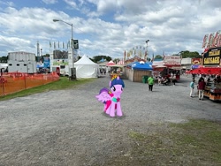 Size: 2016x1512 | Tagged: safe, artist:mtnproductions, twilight sparkle, alicorn, pony, g4, dutchess county fair, irl, new york, outdoors, photo, ponies in real life, rhinebeck, twilight sparkle (alicorn)