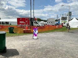 Size: 2016x1512 | Tagged: safe, artist:mtnproductions, rarity, pony, g4, dutchess county fair, irl, new york, outdoors, photo, ponies in real life, rhinebeck