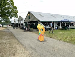 Size: 2016x1512 | Tagged: safe, artist:mtnproductions, applejack, pony, g4, dutchess county fair, irl, new york, outdoors, photo, ponies in real life, rhinebeck