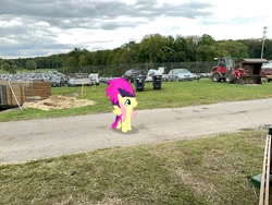 Size: 2016x1512 | Tagged: safe, artist:mtnproductions, fluttershy, pony, g4, dutchess county fair, irl, new york, outdoors, photo, ponies in real life, rhinebeck