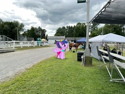 Size: 2016x1512 | Tagged: safe, artist:mtnproductions, twilight sparkle, alicorn, pony, g4, dutchess county fair, irl, new york, outdoors, photo, ponies in real life, rhinebeck, twilight sparkle (alicorn)