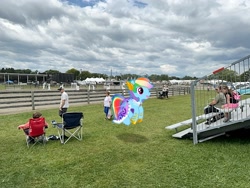 Size: 2016x1512 | Tagged: safe, artist:mtnproductions, rainbow dash, pony, g4, bleachers, clothes, cloud, cloudy, dutchess county fair, grass, irl, new york, outdoors, photo, ponies in real life, rhinebeck