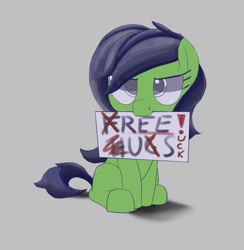 Size: 2148x2200 | Tagged: safe, artist:anonymous, oc, oc only, oc:filly anon, earth pony, pony, g4, drawthread, drop shadow, earth pony oc, eye clipping through hair, female, female oc, filly, filly oc, foal, gray background, holding sign, looking at you, mouth hold, not hugs, ponified photo, pony oc, reeee, requested art, simple background, sitting, solo, you suck