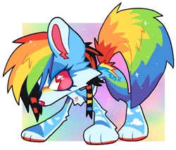 Size: 1184x1012 | Tagged: safe, artist:mawssacre, rainbow dash, dog, g4, coontails, dogified, multicolored hair, rainbow dog, rainbow hair, rainbow tail, scene hair, scene kid, solo, sparkledog, species swap, tail